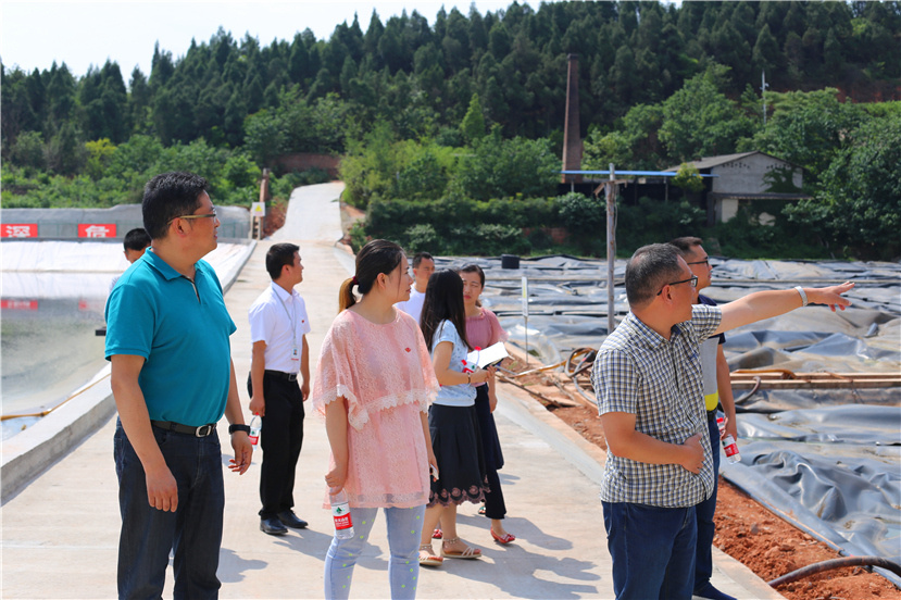 集團(tuán)第一檢查組檢查杰陽(yáng)排水公司、固廢處置公司安全防汛和環(huán)保達(dá)標(biāo)各項(xiàng)工作3_副本